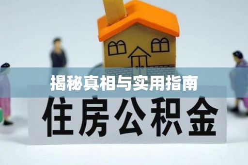 建德揭秘真相与实用指南