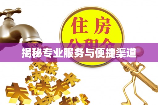 建德揭秘专业服务与便捷渠道
