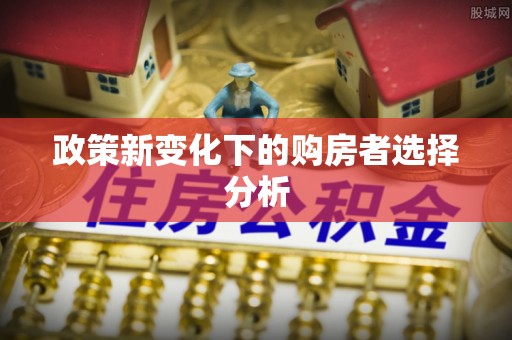 建德政策新变化下的购房者选择分析