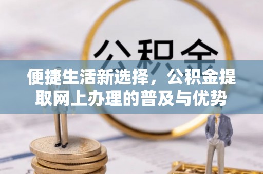 建德便捷生活新选择，公积金提取网上办理的普及与优势
