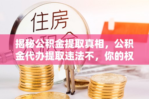 建德揭秘公积金提取真相，公积金代办提取违法不，你的权益如何保障？