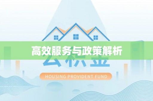 建德高效服务与政策解析