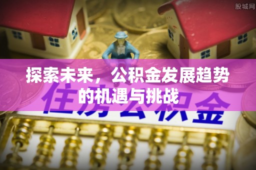 建德探索未来，公积金发展趋势的机遇与挑战