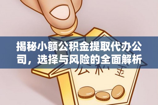 建德揭秘小额公积金提取代办公司，选择与风险的全面解析