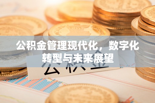 建德公积金管理现代化，数字化转型与未来展望