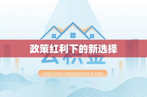 建德政策红利下的新选择