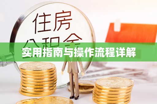 建德实用指南与操作流程详解