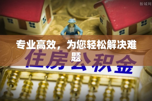 建德专业高效，为您轻松解决难题