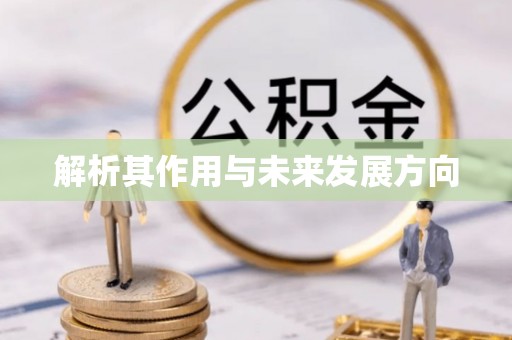 建德解析其作用与未来发展方向