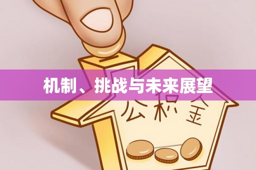 建德机制、挑战与未来展望